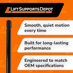 Qty (2) 10mm Nylon Rep Lift Supports for GSNI-5300-80 GSNI-2300-80 20 Inch x