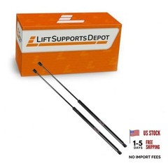 Qty (2) 10mm Nylon Rep Lift Supports for GSNI-5300-60 GSNI-2300-60 Shocks