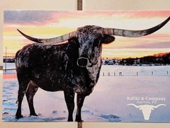 4 TEXAS LONGHORN METAL PULL WESTERN CABINET HARDWARE DRAWER PULLS KNOBS COW