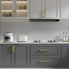 2 Pack Gold Drawer Handles Stainless Steel Cabinet Pulls – LSJ12GD128 Square Dre