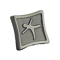 Amerock 4446pwt Pewter Motif’z Knob