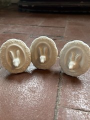 3 x Anthropologie Rabbit Portrait knob