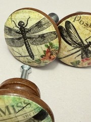 Dragon Fly Draw Pulls Retro Shabby Cottage Whimsy Goth 10 PC Set Wood Eclectic