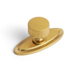 2 PCS 9596E Brushed Gold Zinc Alloy Cabinet Knob Backplate Single Hole Center