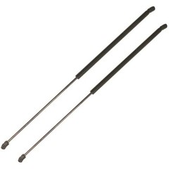 17.01 Inch 2Pcs Front Hood Struts Lift Supports Compatible with Kia Cadenza