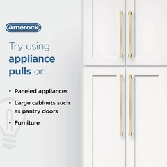 Amerock Candler 12″ Golden Champagne Appliance Pull