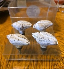 Set of 4 Sanibel Shores Ceramic Sea Shell Cabinet Drawer Knobs Pulls 🐚🐚 NEW