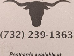 4 TEXAS LONGHORN METAL PULL WESTERN CABINET HARDWARE DRAWER PULLS KNOBS COW