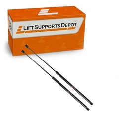 Qty (2) 10mm Nylon Rep Lift Supports for GSNI-5300-80 GSNI-2300-80 20 Inch x