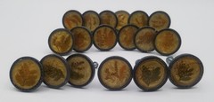 Vintage AXCO Resin Drawer Pulls (18) Pressed Yellow Flower Ferns Leaves Design