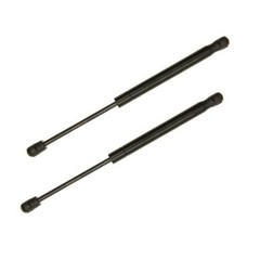 2PCS 19.61 Inch Front Hood Struts Lift Supports compatible with LEXUS 16-20 GS