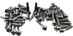 Harris Hardware ChromePlated Torx Security Fastener Pack for 1Inch Panels, In…
