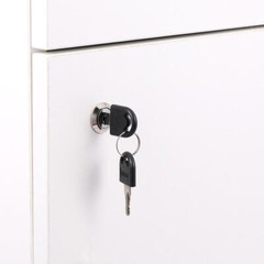 2 Pack 30mm Cylinder Cam Locks with Keys Secure Camper Cabinet Cam Lock Set