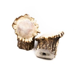Large Polished Deer Antler Burr Cabinet Pull – Rustic Decor Country Home