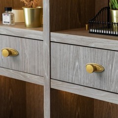 Brushed Gold Zinc Alloy Cabinet Knob with Backplate – Single Hole Center Cabi…