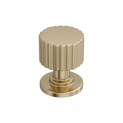 Ballard 1 In. (25Mm) Diameter Golden Champagne Classic round Cabinet Knob