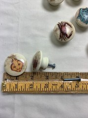 Wood Drawer Knobs Pulls Coastal Sea Creatures set Of 8 Decor 1-1/2″ Matt Finish