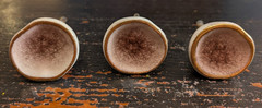 White Pink Gold Round Knobs Ceramic Cabinet Knob Drawer Pulls Earthy Organic LOT