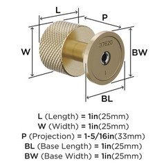 Amerock Balata 1 inch Diameter Golden Champagne Cabinet Knob, BP37620BBZ
