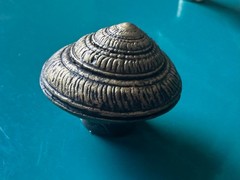 seashell cabinet pulls in 3 shell species. Antique gold textured finish.
