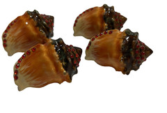 Brass Conch Shell Drawer Pull Set Of 4 Coastal Glam Ruby Red Rhinestone Knobs
