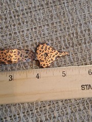 Hammered Copper Cabinet Drawer Pulls Handles 5″ ~ Set of 6 NEW NOS