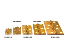 English Solid Brass Butt and Butler Hinges