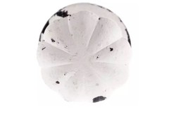 Distressed White Metal Fluted Cabinet Knob Drawer Pull Set Of 8 Shabby Chic New