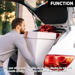 8 Inch 250N / 55Lbs Universal Lift Supports Struts Shocks Gas Spring Silver –