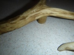 Set of 2 Cabin Lodge 9 1/4″ Faux Deer Antler Cabinet Pull Right Left Wind River