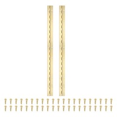 2 Pack 20×1.2 Inch Heavy Duty Piano Hinge Hinge with Hole for Piano Gold
