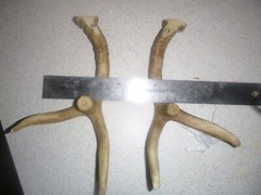 Set of 2 Cabin Lodge 9 1/4″ Faux Deer Antler Cabinet Pull Right Left Wind River