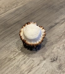NEW Natural Shed Real Deer Antler Knobs / Pulls Cabinet Dresser Hardware (1 EA)
