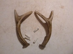Set of 2 Cabin Lodge 7 1/2″ Faux Deer Antler Cabinet Pull Right Left Wind River