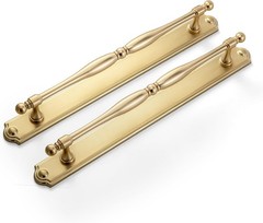 2 Pack Champagne Bronze Cabinet Pulls with Backplate,Modern Zinc Alloy T57-22