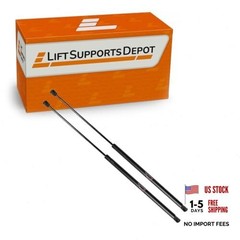 Qty (2) 10mm Nylon Rep Lift Supports for GSNI-5300-80 GSNI-2300-80 20 Inch x