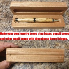 Brass Hidden Hinges Set, 25 Cylinder Hinges (4x17mm) with 25 Magnets (4x3mm),…