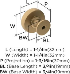 Amerock | Cabinet Knob | Champagne Bronze | 1-1/4 inch (32 mm) Diameter | 1 Pack