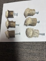 Set of 6 Real Shed Deer Antler Knobs /Pulls CabinetDrawer Dresser Hardware Burrs