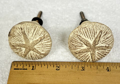 Pair Weathered White Brown Embossed Sand Dollar Starfish Drawer Cabinet Knobs