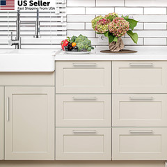 Ravinte 10 Pack 10 Inch Kitchen 10-1/2 in (10 Hole Center), Brushed Nickel