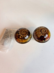 2 PCS Chakra Ammonite Fossil Drawer Knobs with Screws, Round Crystal Stone P…