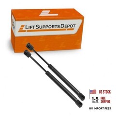Qty (2) Nylon End Rep Lift Supports for C16-15039 20 Inches – Black 150 Pounds