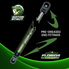 2 Hood Lift Supports Kit with Fender Bolts + M8x1.25mm Tap Compatible with: