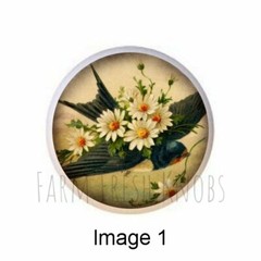 Aged Birds Vintage Postcards by cmc 1.5″ DECORATIVE Drawer PULLS Dresser KNOBS