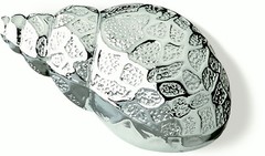 Nautical Beach House Knob Cabinet Pull 3 Styles Shell Starfish Oyster Chrome