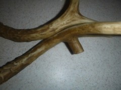 Set of 2 Cabin Lodge 9 1/4″ Faux Deer Antler Cabinet Pull Right Left Wind River