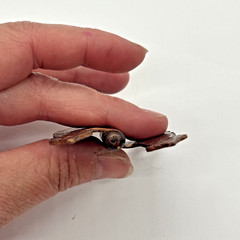 Vintage Hammered Copper-Plated H-Hinges DISTRESSED 6 Cabinet Hardware Colonial